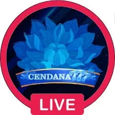 cendana777 App Terbaru: Fitur Unggulan dan Download